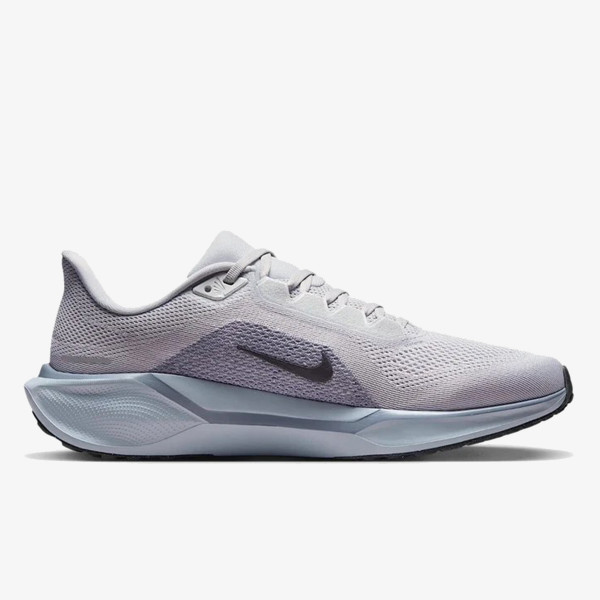 Nike Pegasus 41 