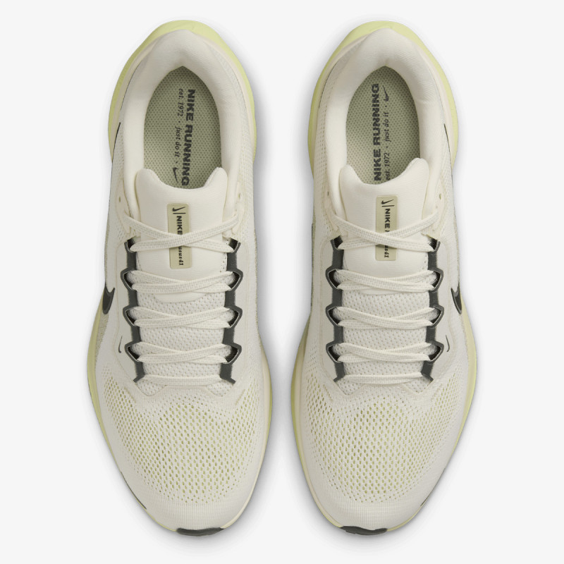 Nike Pegasus 41 