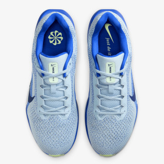 Nike Winflo 11 