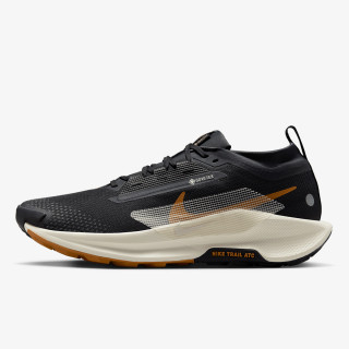Nike Pegasus Trail 5 Gore-tex 