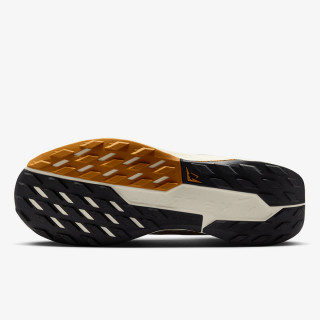 Nike Pegasus Trail 5 Gore-tex 