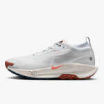 Nike Pegasus Trail 5 Gore-tex 