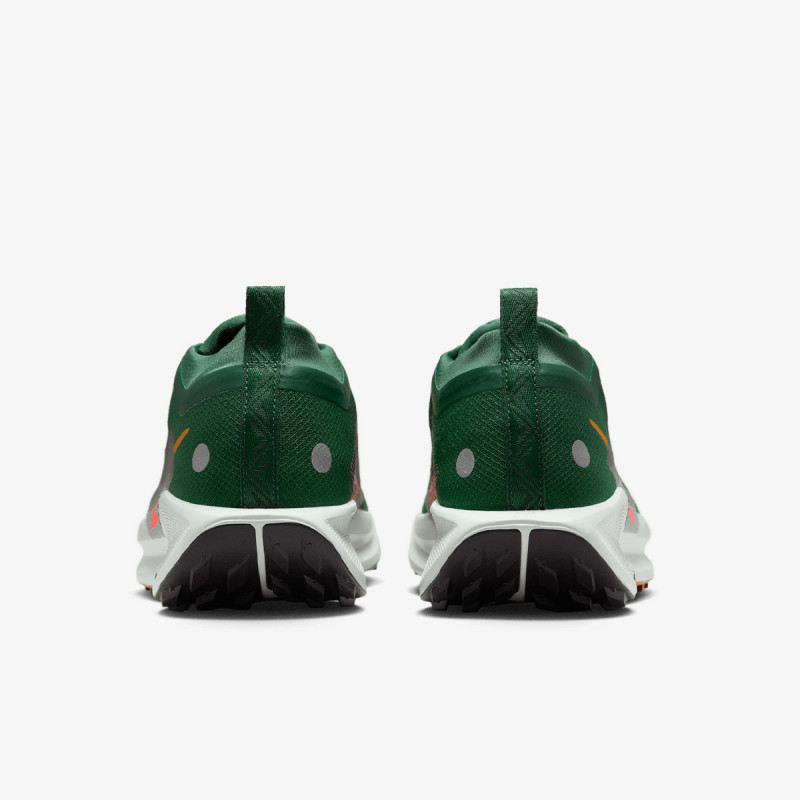 Nike Pegasus Trail 5 Gore-tex 