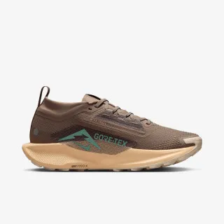 Nike Pegasus Trail 5 GTX 