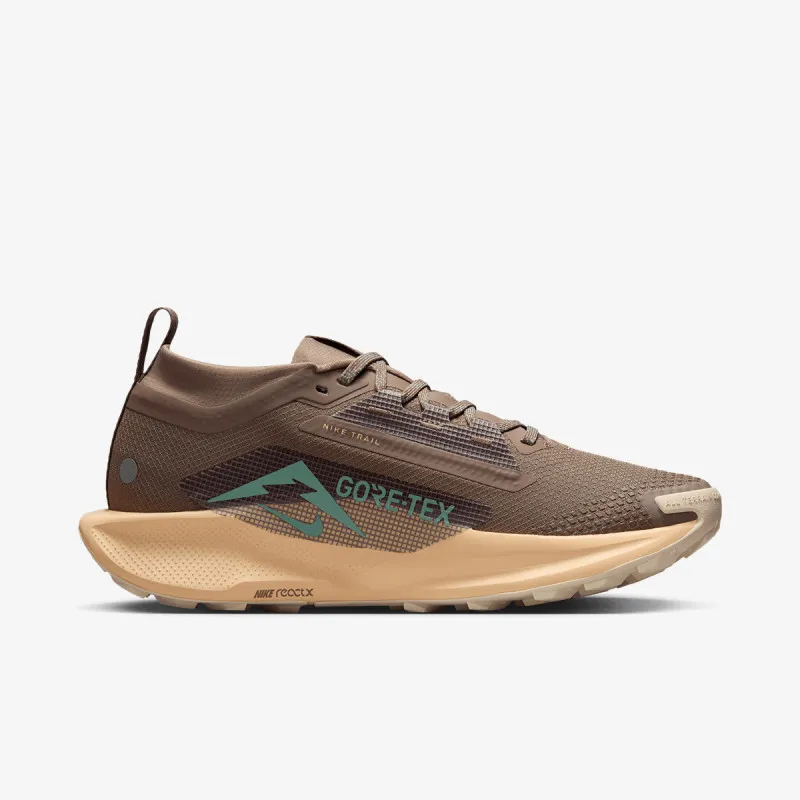 Nike Pegasus Trail 5 GTX 