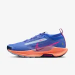 Nike Pegasus Trail 5 Gore-tex 