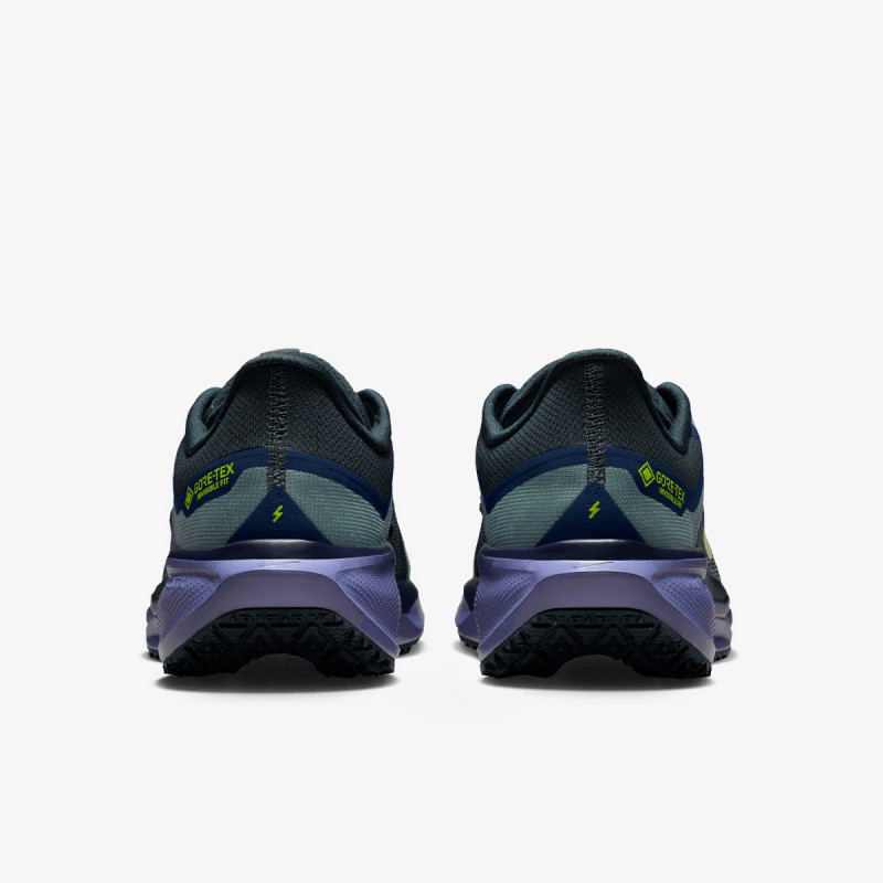 Nike Air Zoom Pegasus 41