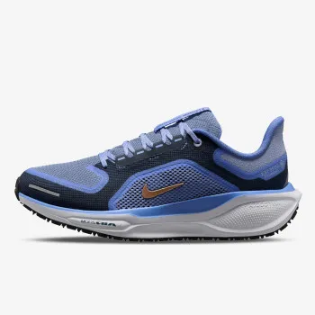 Nike Air Zoom Pegasus 41 