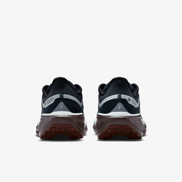 Nike Air Zoom Pegasus 41 