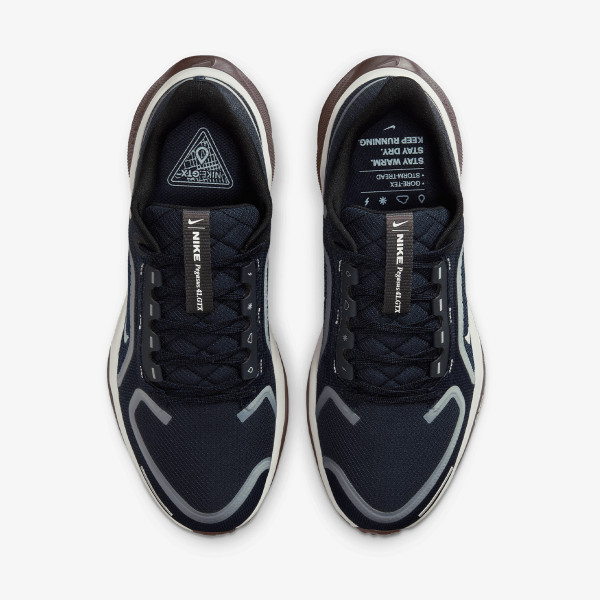 Nike Air Zoom Pegasus 41 