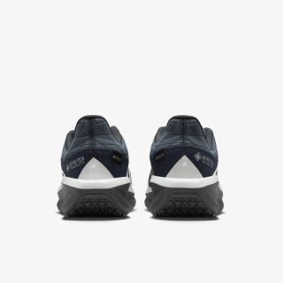 Nike W AIR WINFLO 11 GTX 