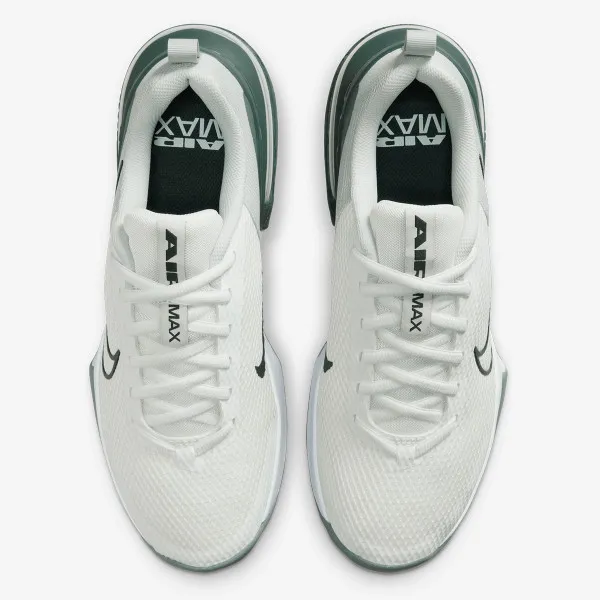 Nike Air Max Alpha Trainer 6 