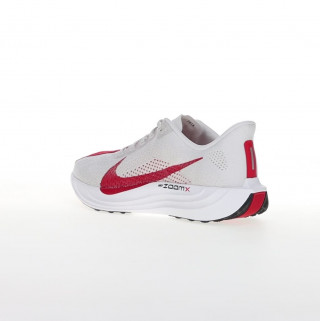 Nike Pegasus Turbo 4 