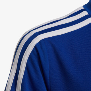 adidas Designed to Move 