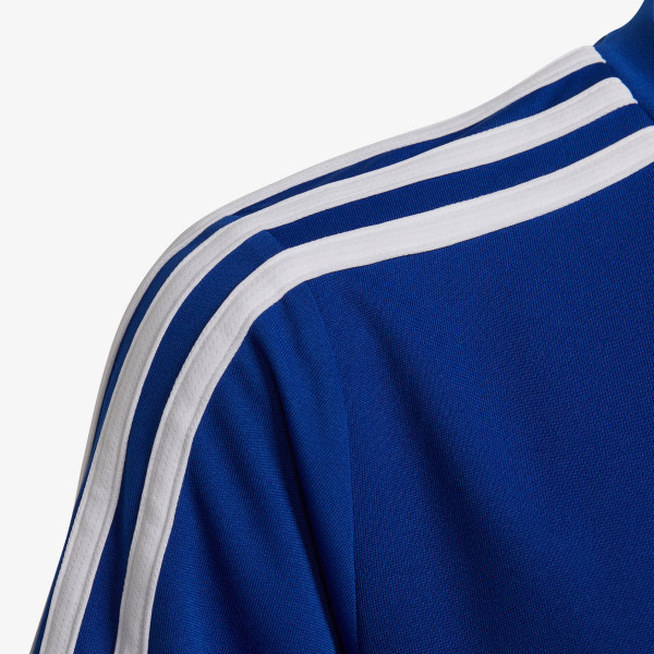 adidas Designed to Move 