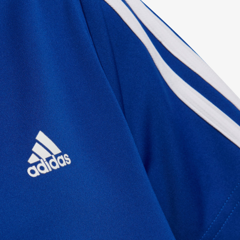 adidas Designed to Move 