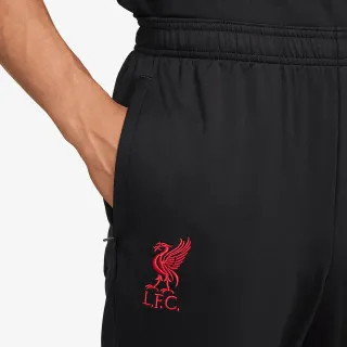 Nike LFC M NK DF STRK PANT KPZ SE 