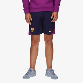 Nike FC Barcelona 