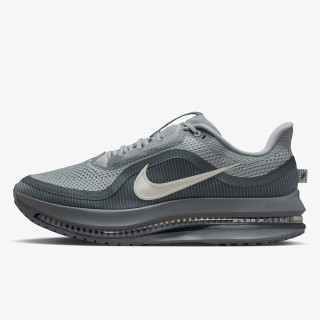 Nike Pegasus Premium 