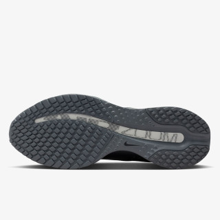 Nike Pegasus Premium 