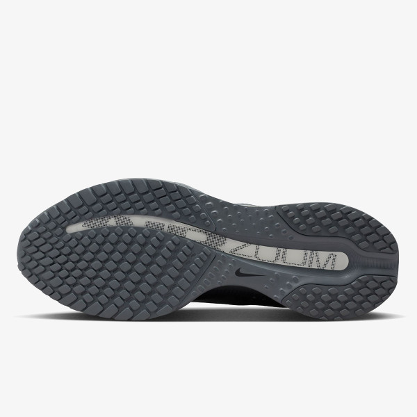 Nike Pegasus Premium 