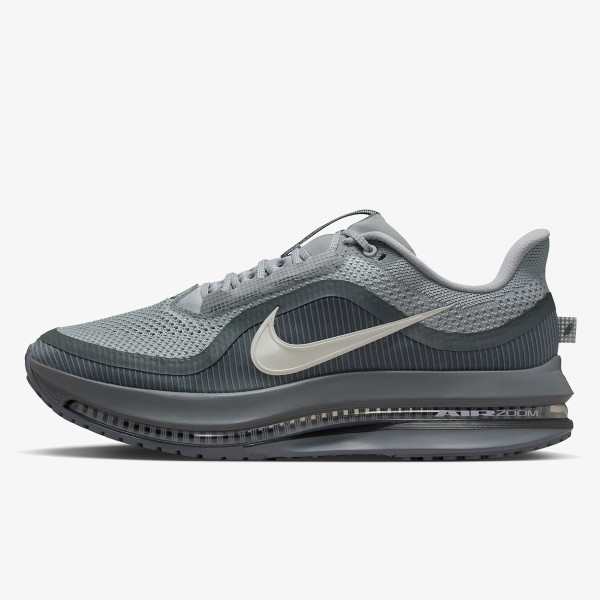 Nike Pegasus Premium 
