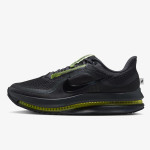 Nike Pegasus Premium 