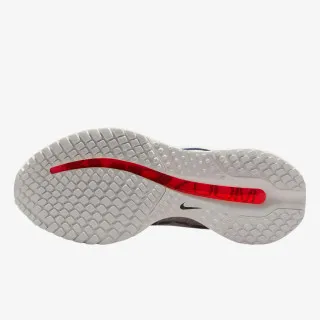Nike Pegasus Premium 