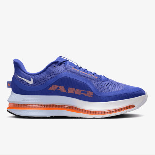 Nike Pegasus Premium 