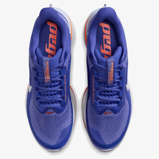 Nike Pegasus Premium 