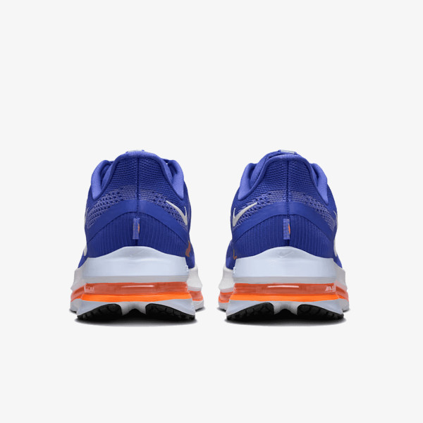 Nike Pegasus Premium 