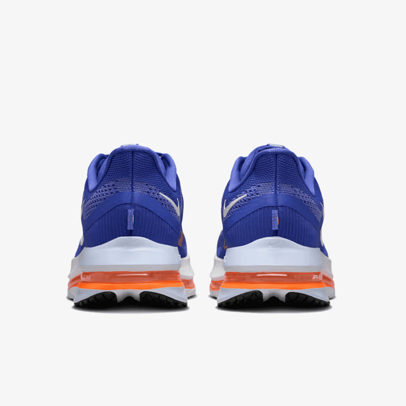 Nike Pegasus Premium 