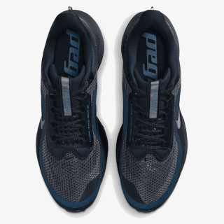 Nike Pegasus Premium 