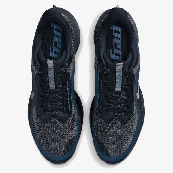 Nike Pegasus Premium 