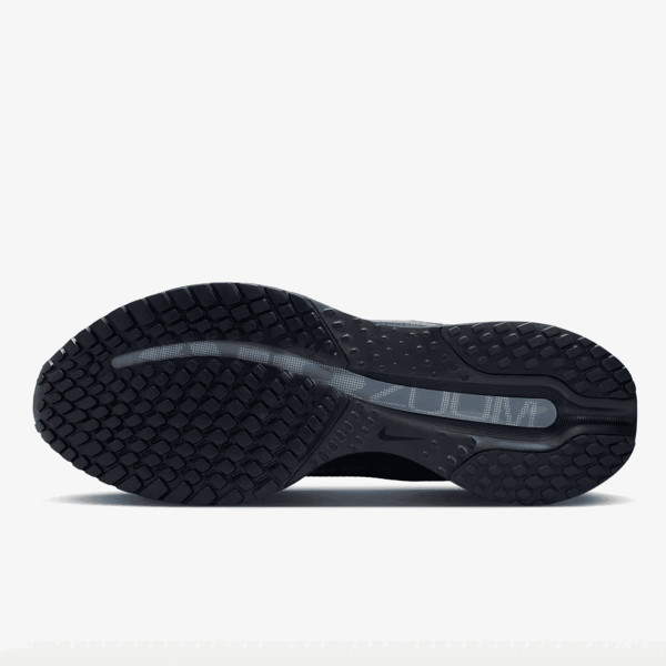 Nike Pegasus Premium 