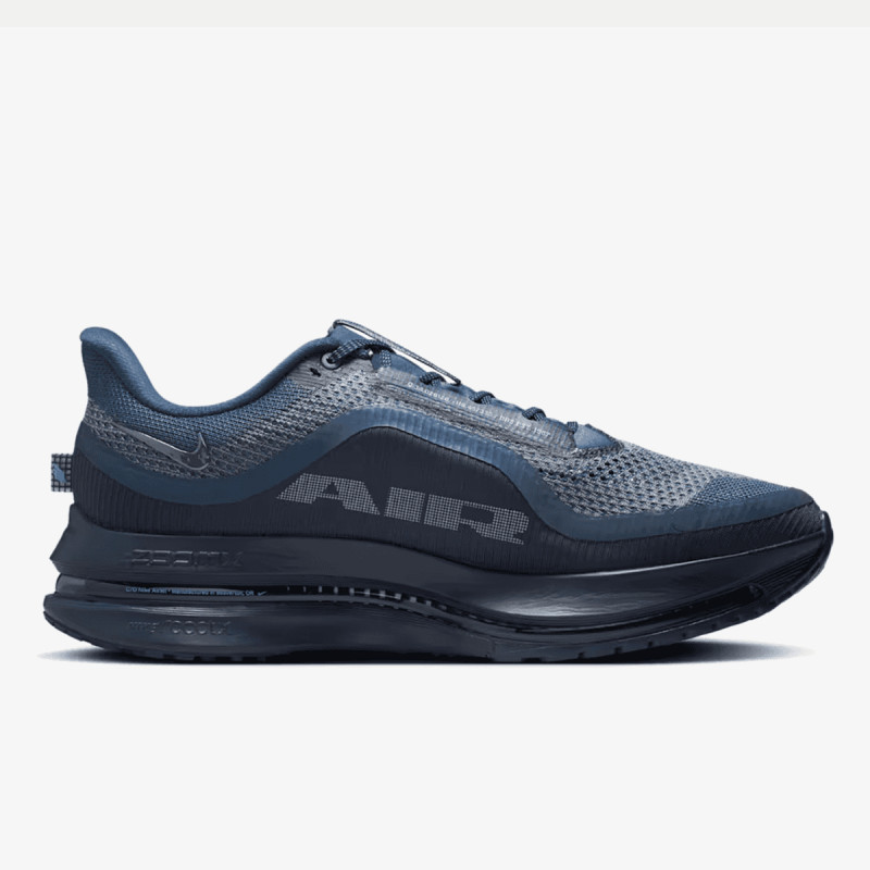 Nike Pegasus Premium 