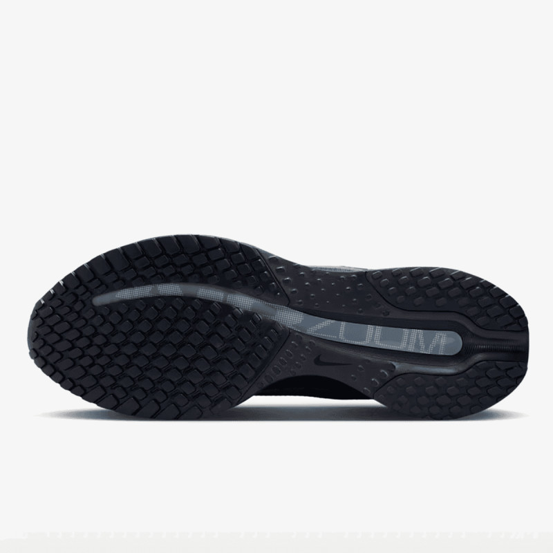 Nike Pegasus Premium 