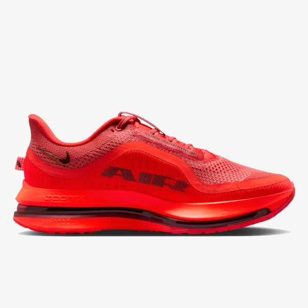 Nike Pegasus Premium 