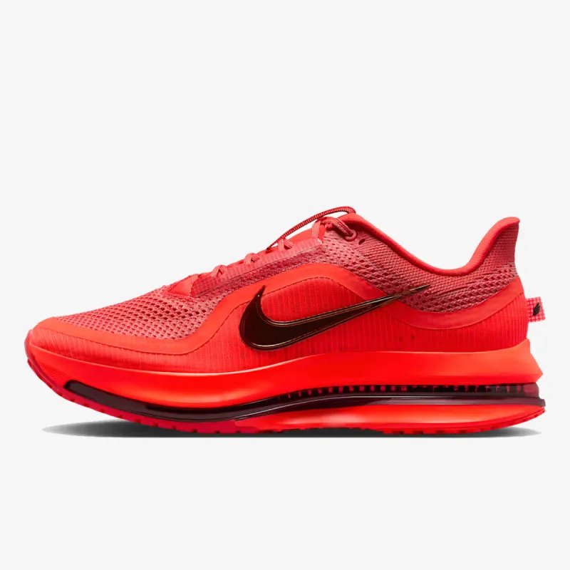 Nike Pegasus Premium 