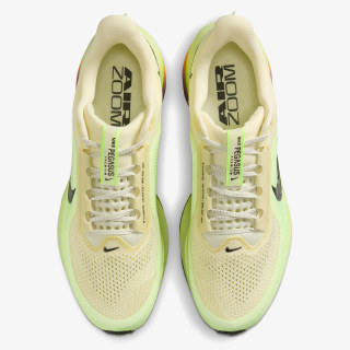Nike Pegasus Premium 