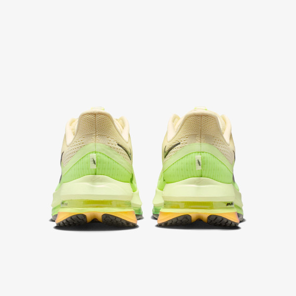 Nike Pegasus Premium 