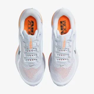 Nike Pegasus Premium 