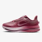 Nike Pegasus Premium 