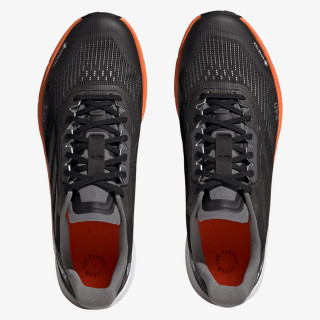 adidas Terrex Agravic Flow 2 GORE-TEX 