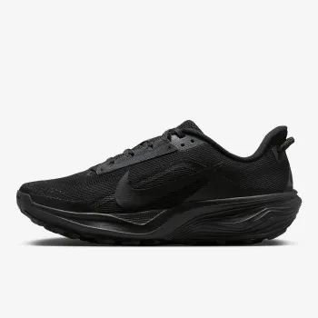 Nike Pegasus 