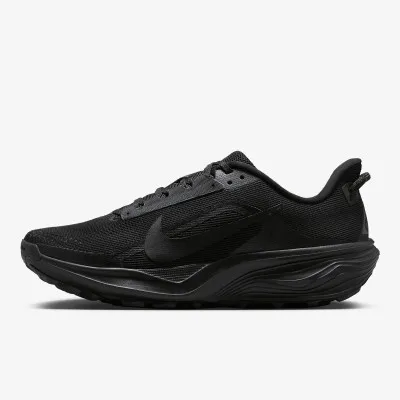 Nike Pegasus 