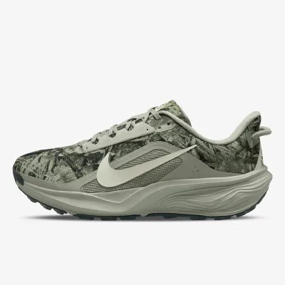Nike Pegasus 