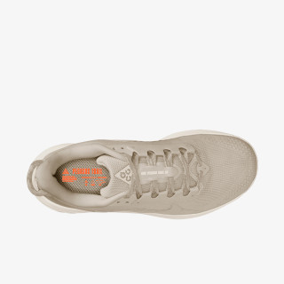 Nike Pegasus 