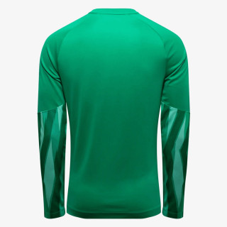 Nike M NK DF PARK V GK JSY LS 