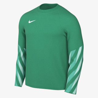 Nike M NK DF PARK V GK JSY LS 